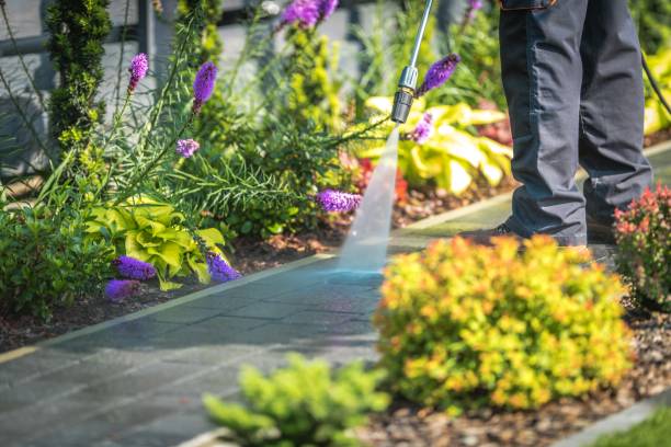 Best Patio and Deck Pressure Washing  in Greentree, NJ